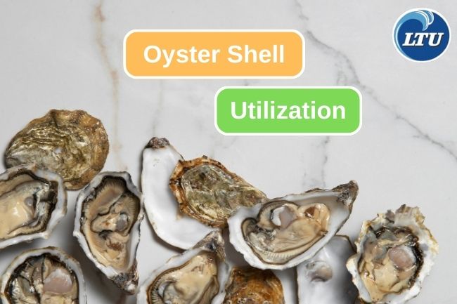 8 Potential Benefits of Oyster Shell Waste 